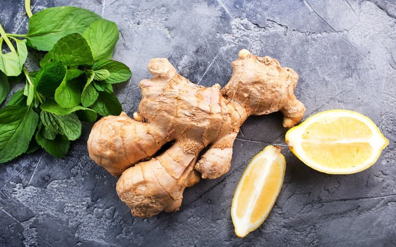 Die Ingwerknolle: Der Alleskönner und Immunbooster - VitalBodyPLUS.de