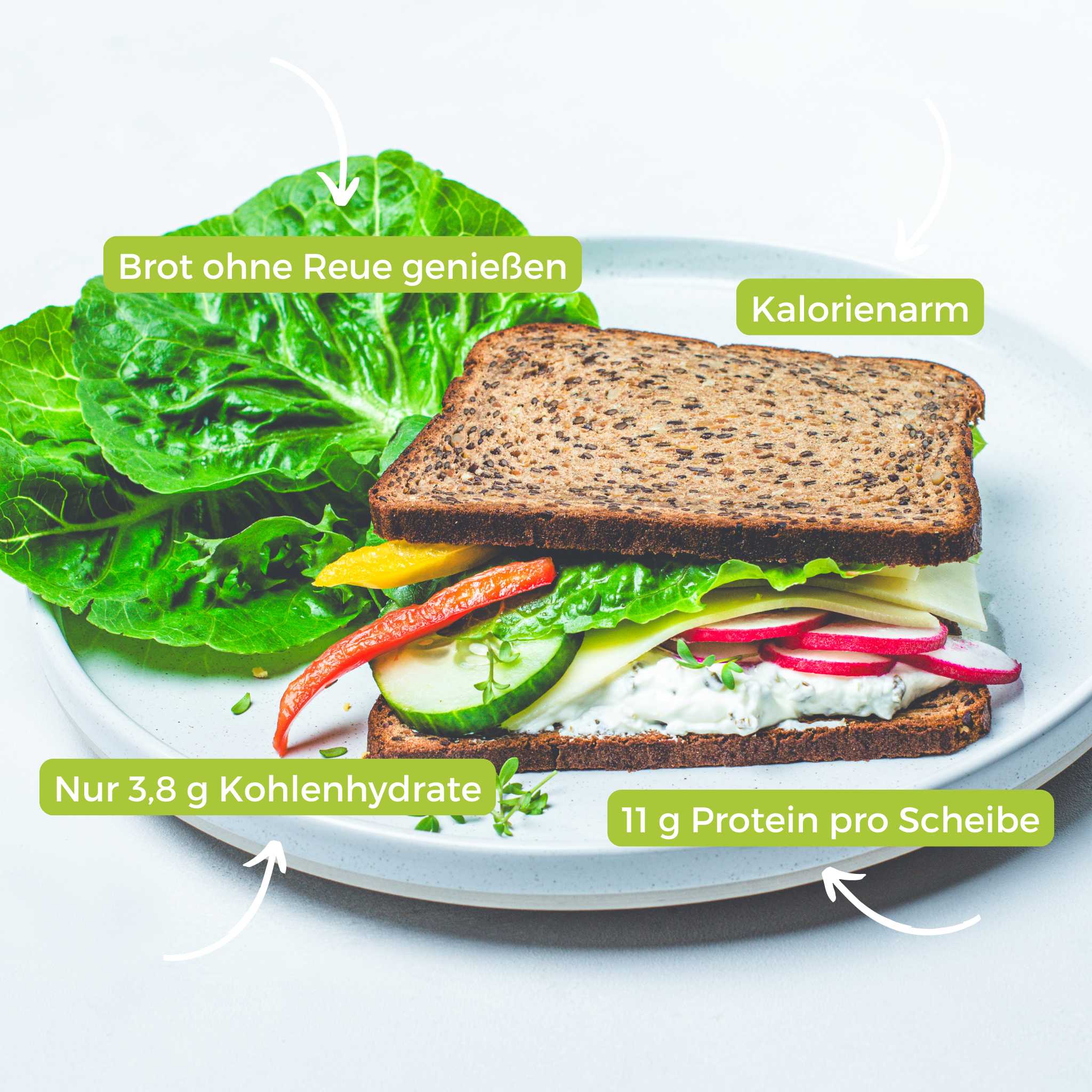 DailyBread - Eiweißbrot - VitalBodyPLUS.de