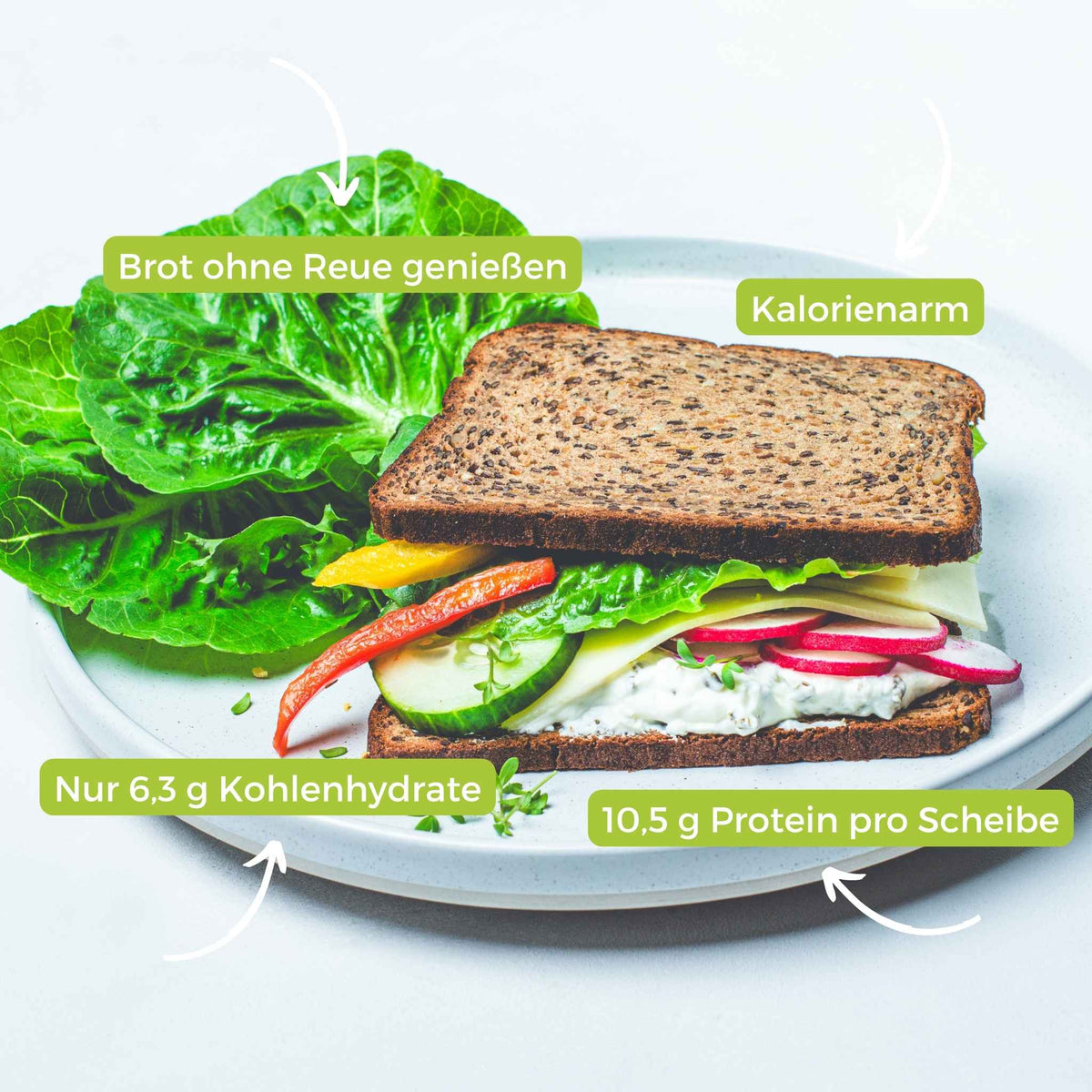 DailyBread - Eiweißbrot - VitalBodyPLUS.de