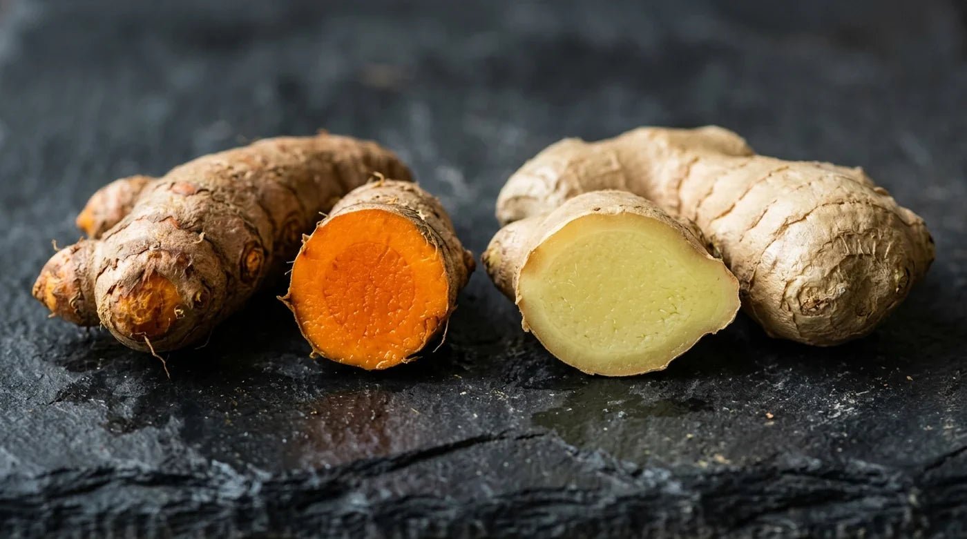 Kurkuma und Ingwer: Der Unterschied und was Kurkuma wirklich kann - VitalBodyPLUS.de