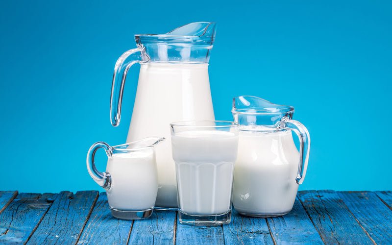 Ist Milch wirklich ein gesundes Naturprodukt? Wir klären auf! - VitalBodyPLUS.de