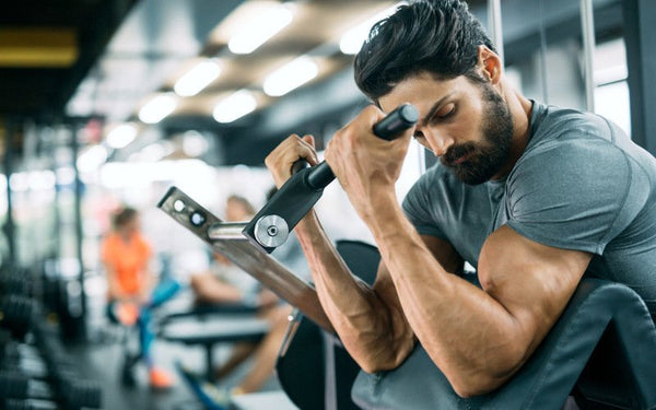 Trainingsplan zum Abnehmen: Musterwochen für 2, 3 oder 4 Tage